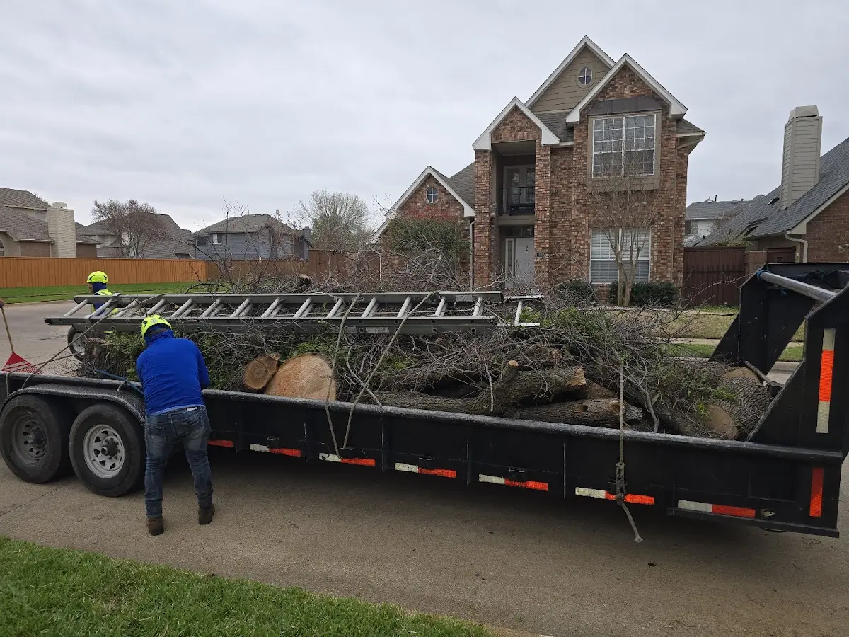 Expert Tree Pest Control with proper safety equipment in Carversville